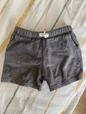 Gray Carter’s Dinosaur Shorts Size 18m